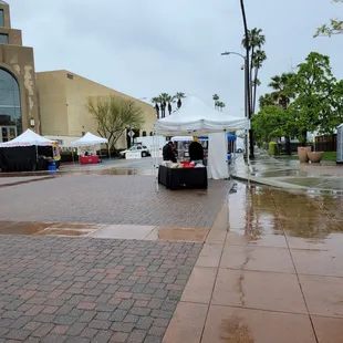 Raining, but it ensures there is a good selection available.
