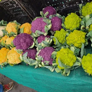 Colorful cauliflower