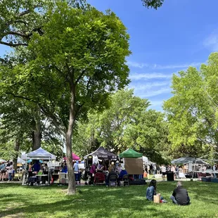 View from grassy patch
