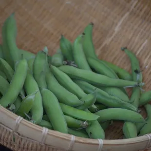  basket of green beans