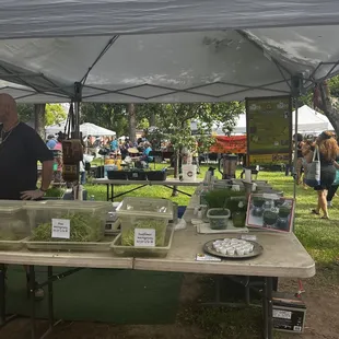  man standing under a tent