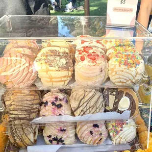 Conchas