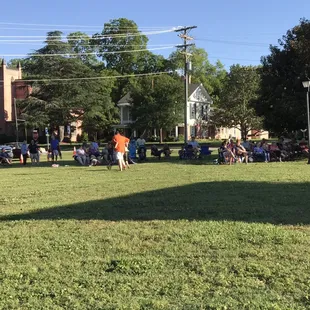 Fresh, soft grass, suitable for lounging or dancing barefoot!