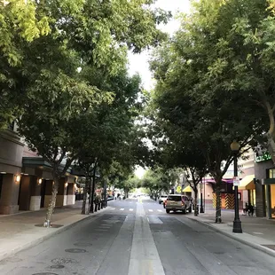 Walking through downtown - so pretty!