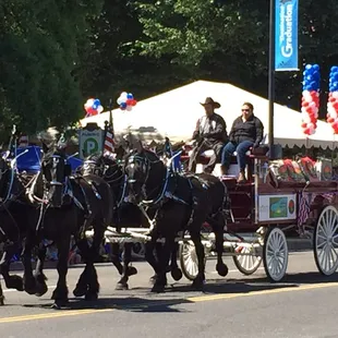 Modesto 07/04/15 Parade: s.t.e.m. Farm Supply (gorgeous black beauties!)