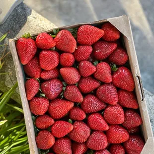 Downtown San Leandro Farmers' Market