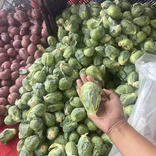 Fresh produce