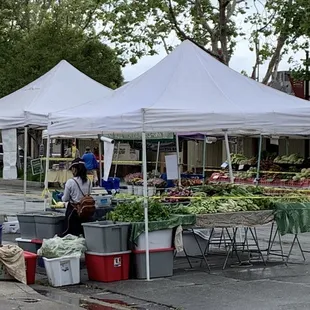 Fresh produce