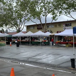 Vendors