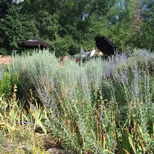 View while reading. Doesn't suck.