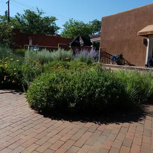 A view from the patio. July 2017