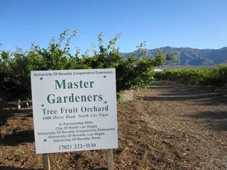 Master Gardener Orchard