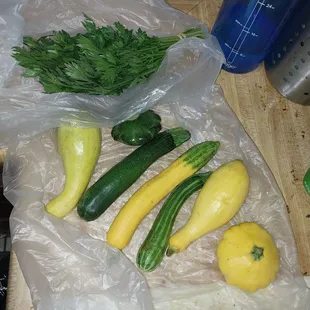 Not sure which Herb that I&apos;d and a variety of Squash.