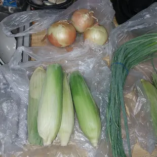 Onions &amp; Corn on the Cob