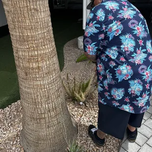 This hotel is so cute. There's mini golf . Everyone is so nice and the manager Tamara is the cutest }!]