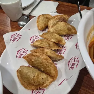 Kun Mandu Fried Dumplings