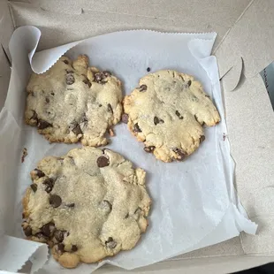 Chocolate Chip Cookie