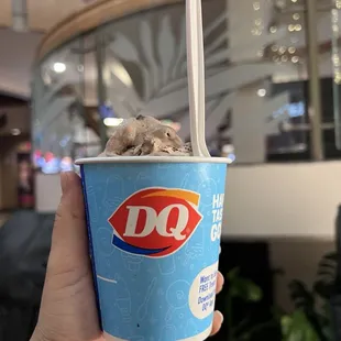 Oreo Blizzard