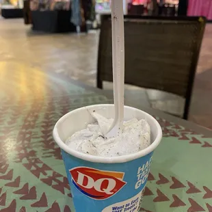 Mini Oreo Blizzard ...