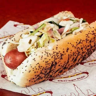 a hot dog with coleslaw on it