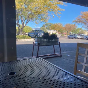 a table with a potted plant on it