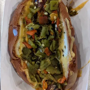 The New Mexico dog