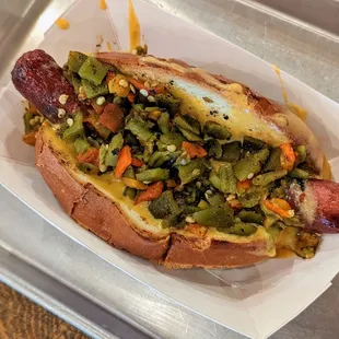 Mexico Dog
