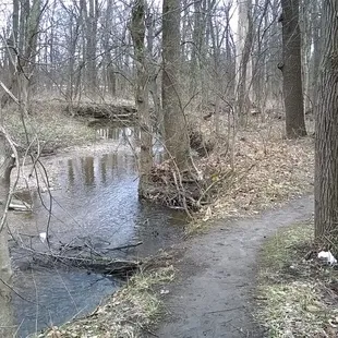 small footpath along the creek on the west side of the park