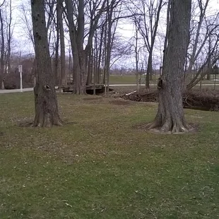 on the south side there is the solo footbridge crossing the creek from the SW side to the east side of the park