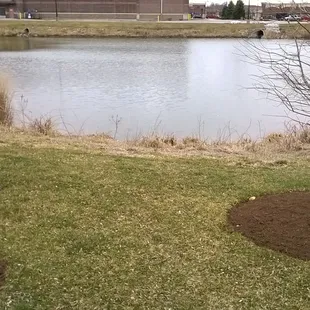 a pond was added as a buffer between the park and nearby shopping