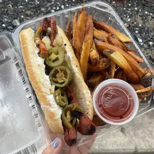 a hot dog and french fries