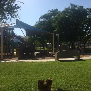 Great playground equipment for the kiddos!