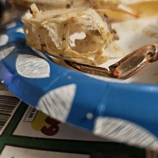 Hallow $60 medium crabs