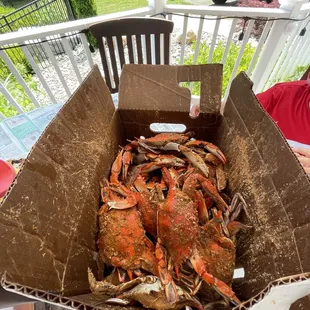 Half bushel for $175