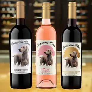 taste through our award winning wines and learn about Paso Robles