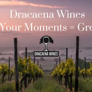 Let Dracaena Wines turn your moments into great memories!