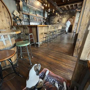 two dogs sleeping in a dog bed