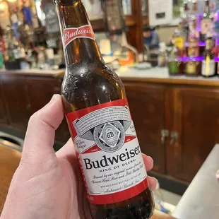 a hand holding a budweiser beer bottle