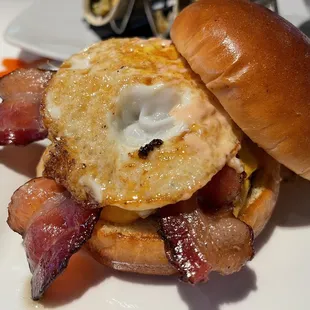 food, burger, burgers