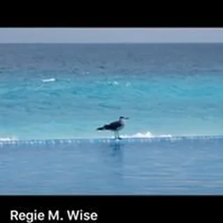 Regie W.