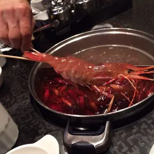 Shrimp as big as the pot
