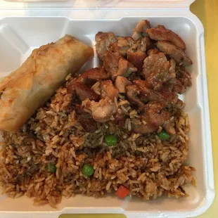 Rice, Chicken and a Spring Roll