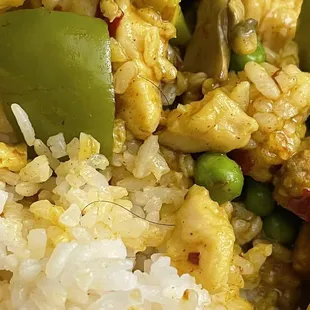 HAIR STRAND IN MY D54. Curry Chicken MEAL