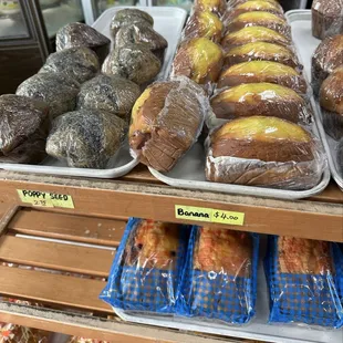 Dragon City Bakery {12/10/2024}