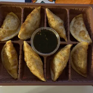 Chicken Potsticker