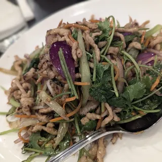 Shredded Pork with Cilantro