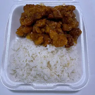 a closeup of a meal in a styrofoam container