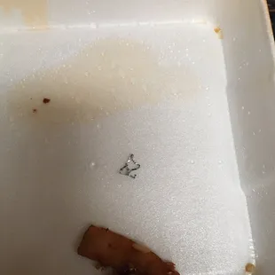 Found in the food. Front desk said &quot;ok&quot; when I told them about it.
