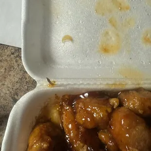 This is another picture of the fingernail tip that we sat on the container lid.