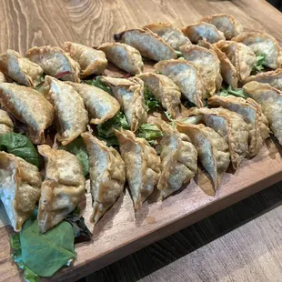 Beef Gyoza Platter